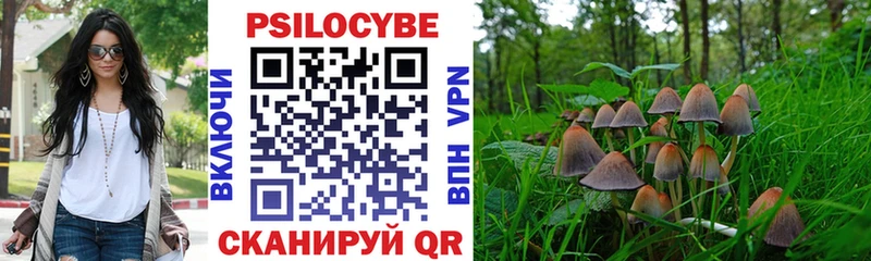 Галлюциногенные грибы Psilocybine cubensis  Сафоново 